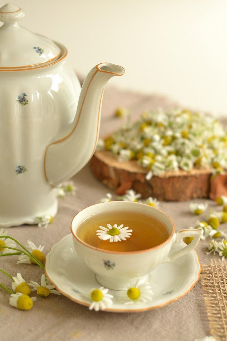 Chamomile-Valerian Night Tea